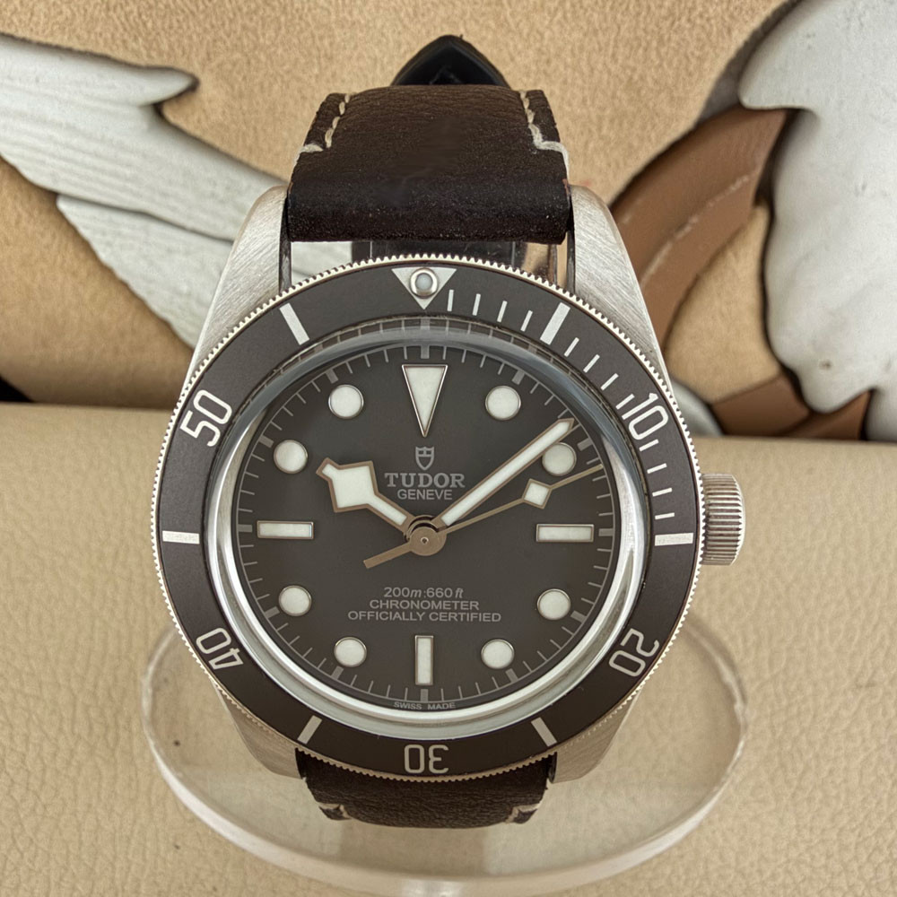 Tudor Black Bay Fifty Eight 79010SG 0