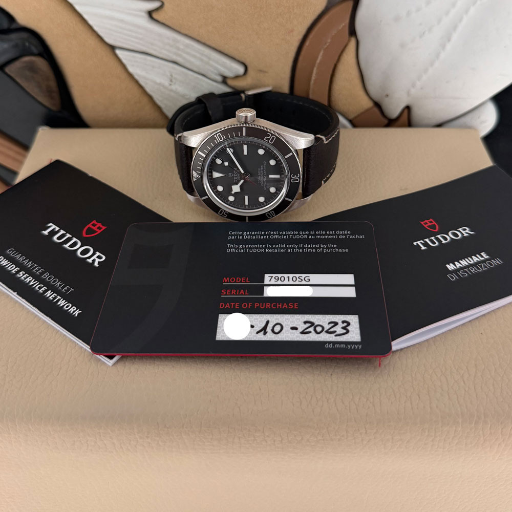 Tudor Black Bay Fifty Eight 79010SG 1