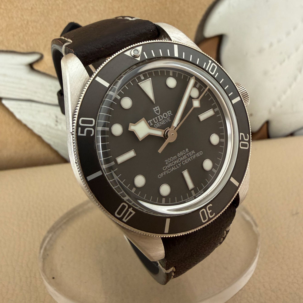 Tudor Black Bay Fifty Eight 79010SG 3