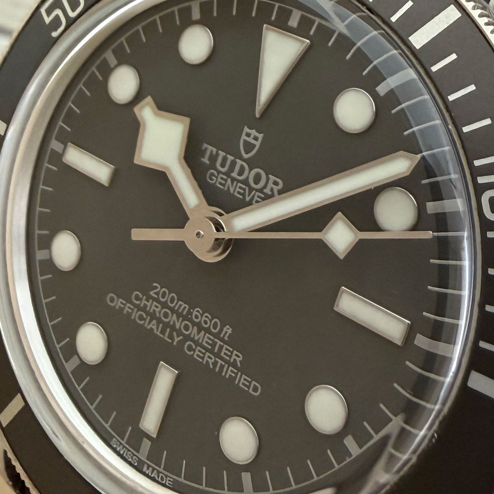 Tudor Black Bay Fifty Eight 79010SG 5
