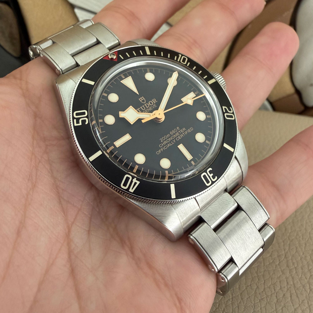 Tudor Black Bay FiftyEight 79030N 10