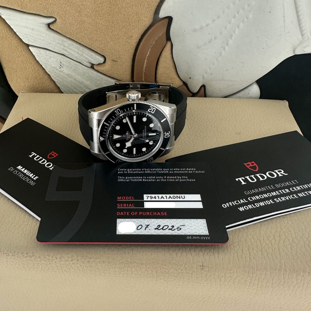 Tudor Black Bay 7941A1A0NU 1