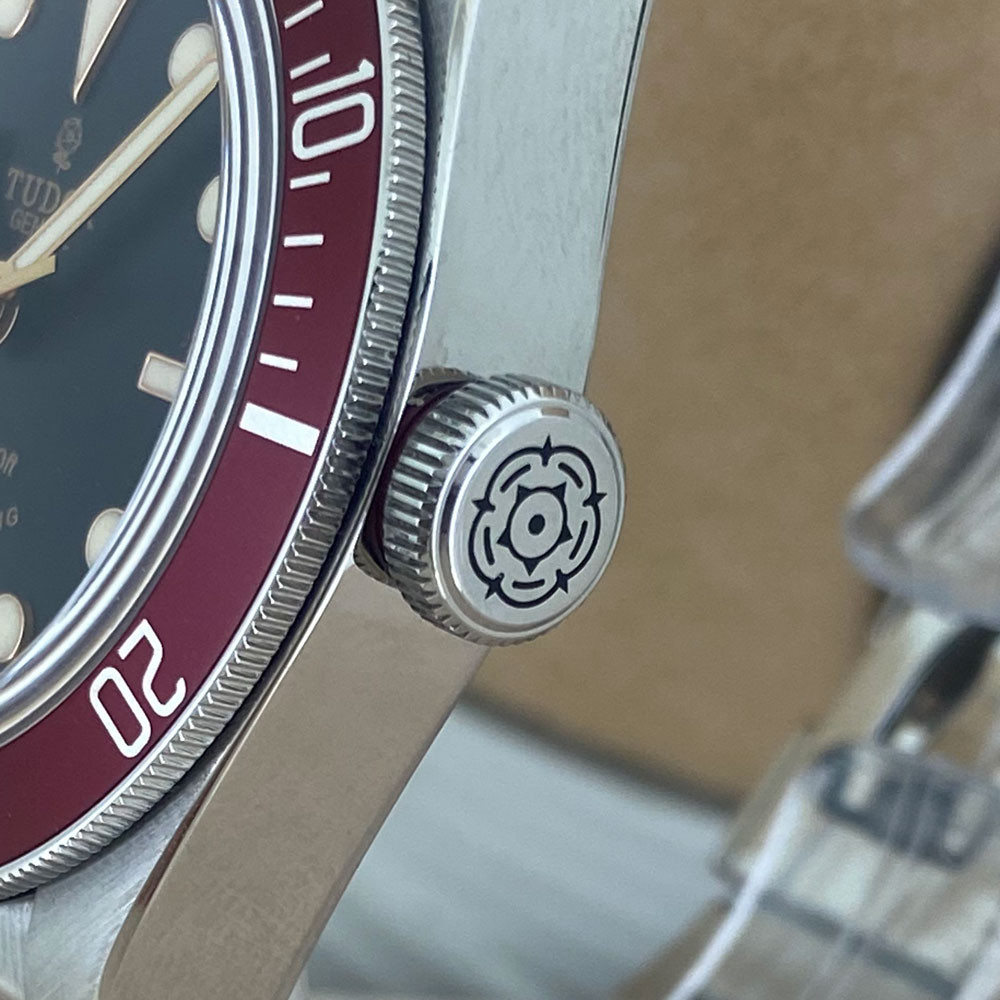 Tudor Heritage Black Bay Smile 79220R 3