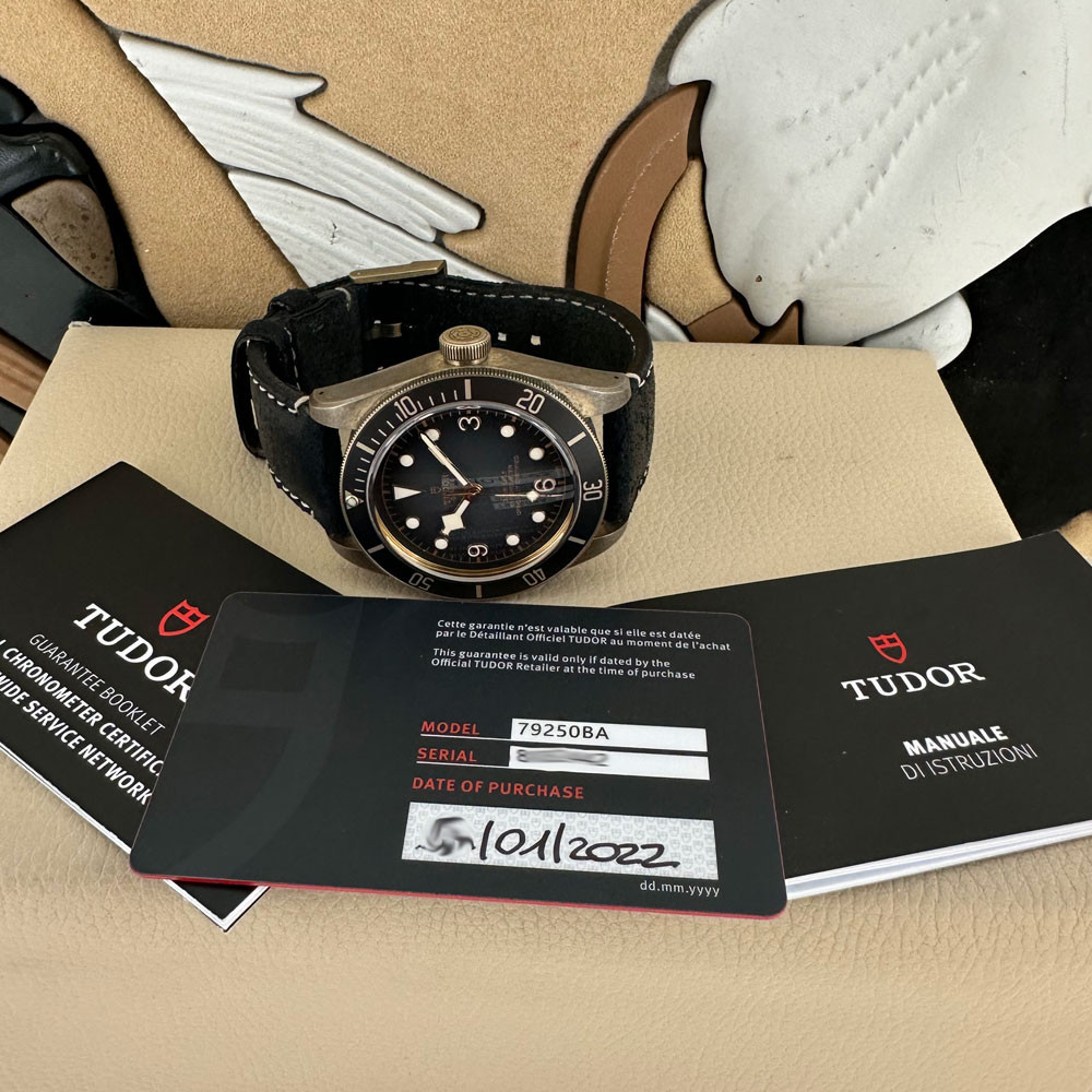 Tudor Heritage Black Bay Bronze 79250BA 1