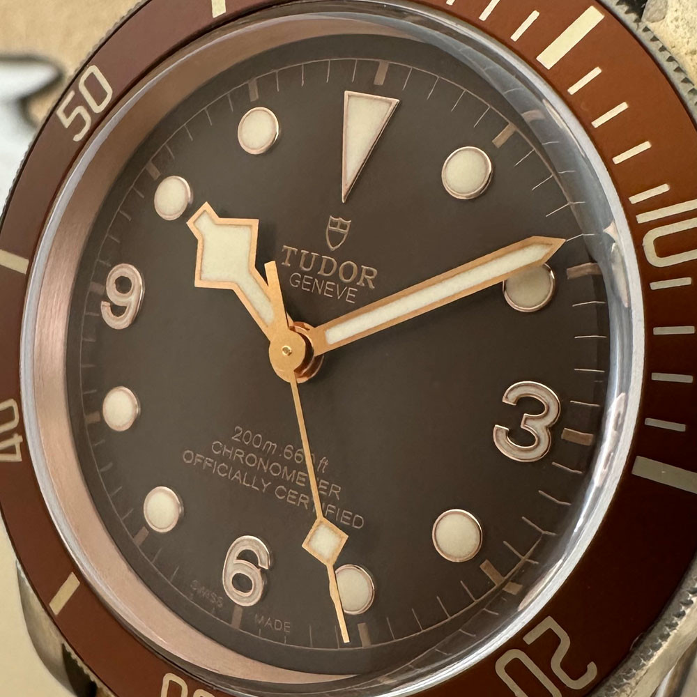 Tudor Heritage Black Bay Bronze 79250BM 5