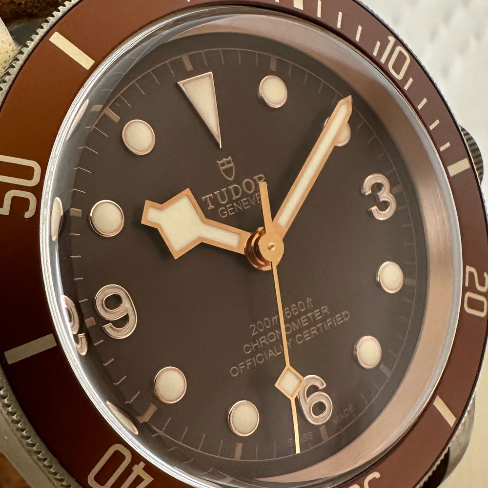 Tudor Heritage Black Bay Bronze 79250BM 6