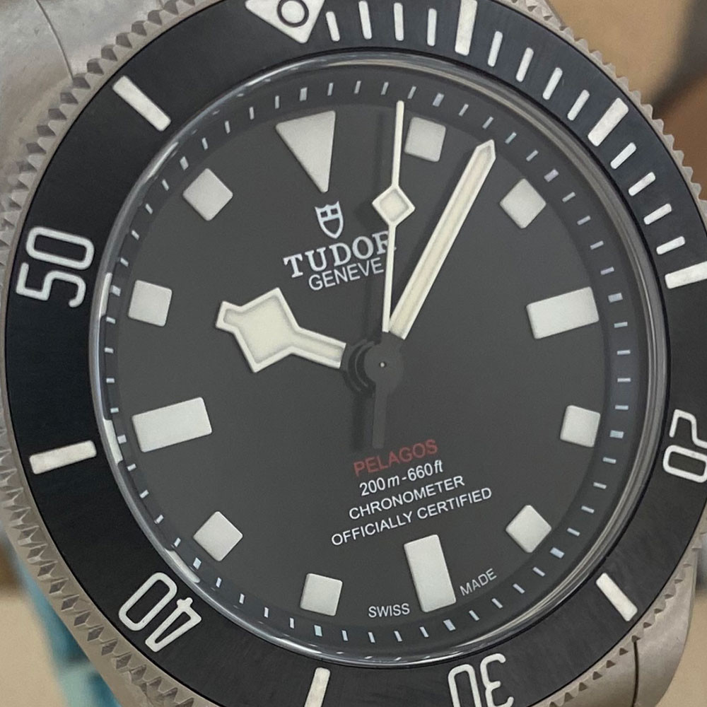 Tudor Pelagos 25407N 6