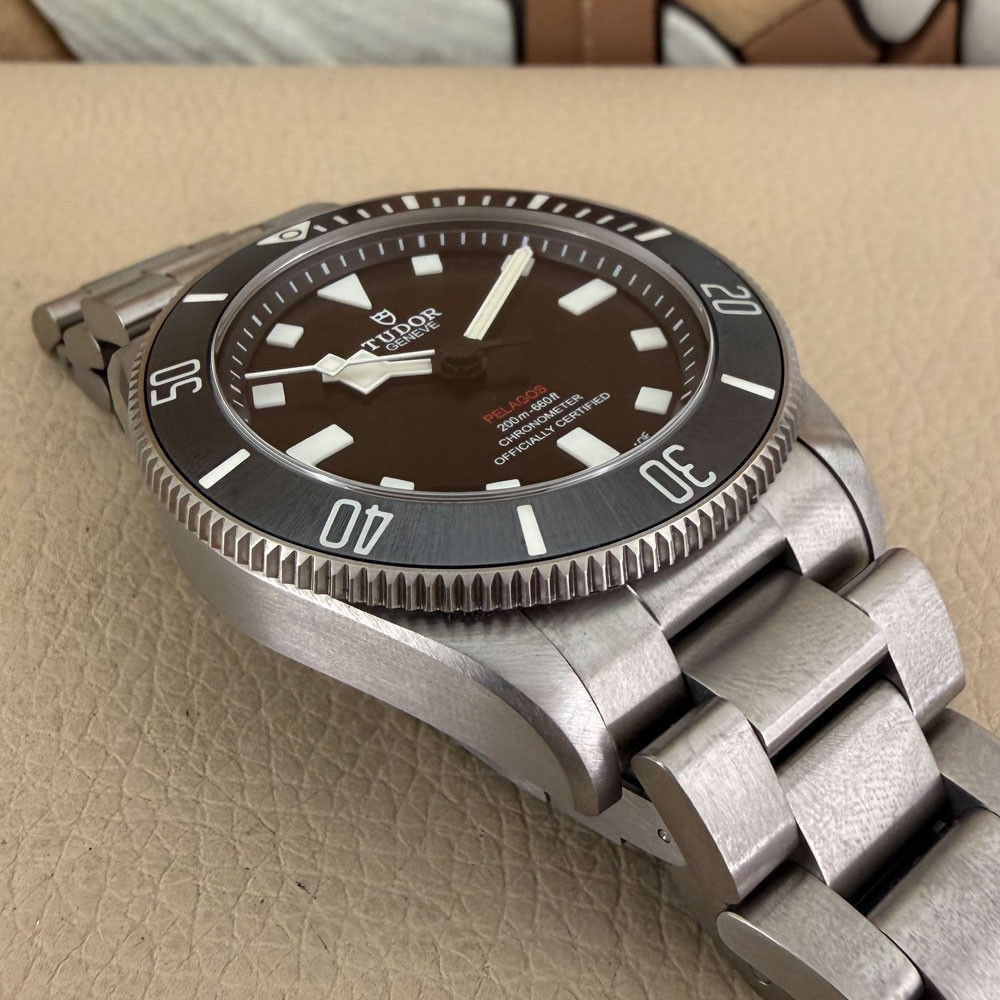 Tudor Pelagos 25407N 13