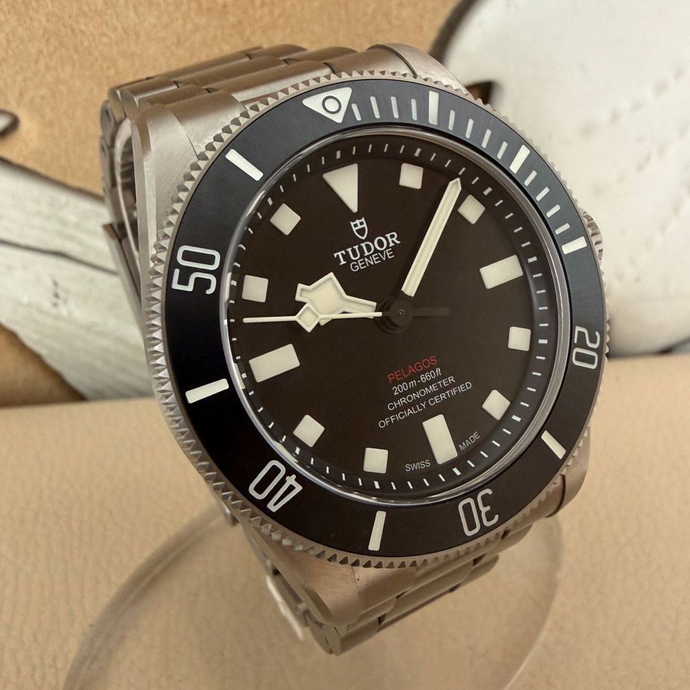 Tudor Pelagos 25407N 3