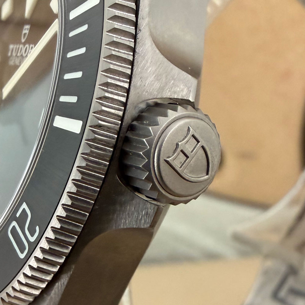 Tudor Pelagos 25407N 4