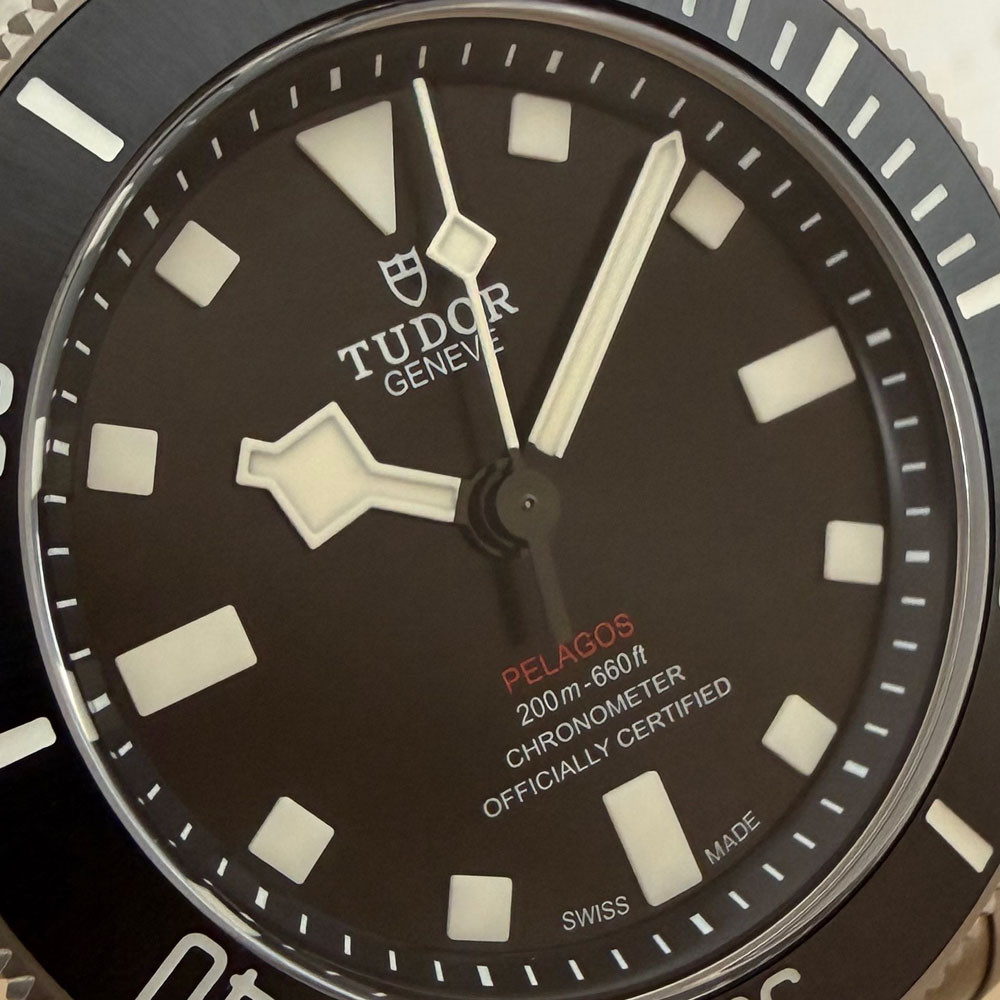 Tudor Pelagos 25407N 6