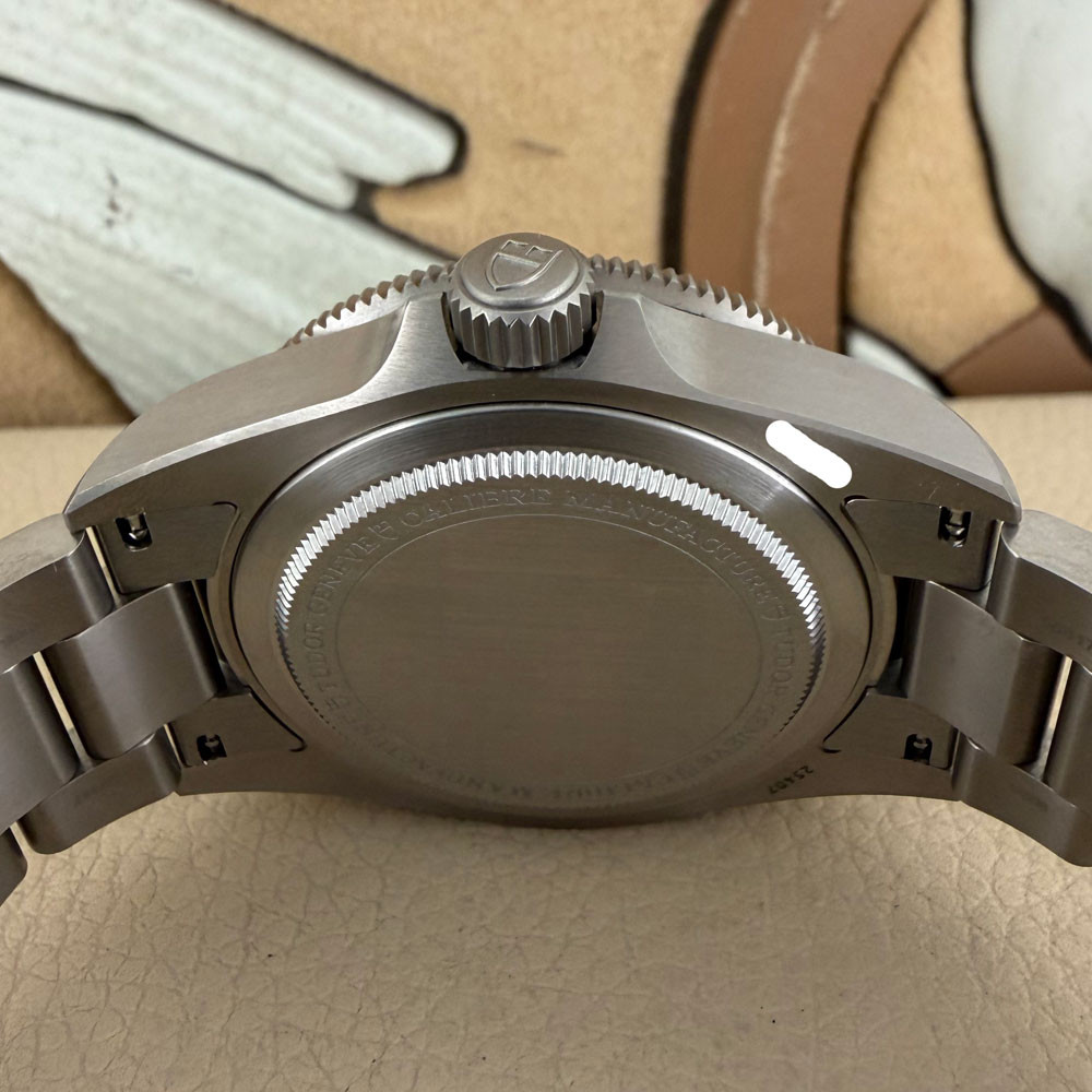 Tudor Pelagos 25407N 8