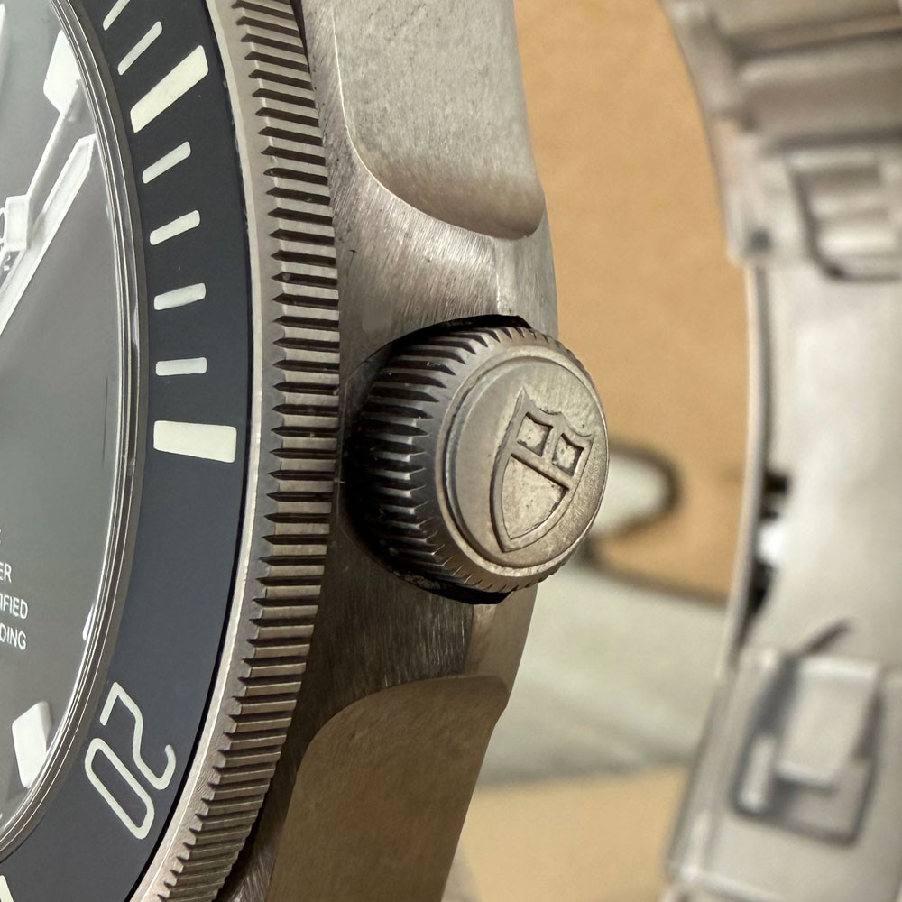 Tudor Pelagos 25600TN 4