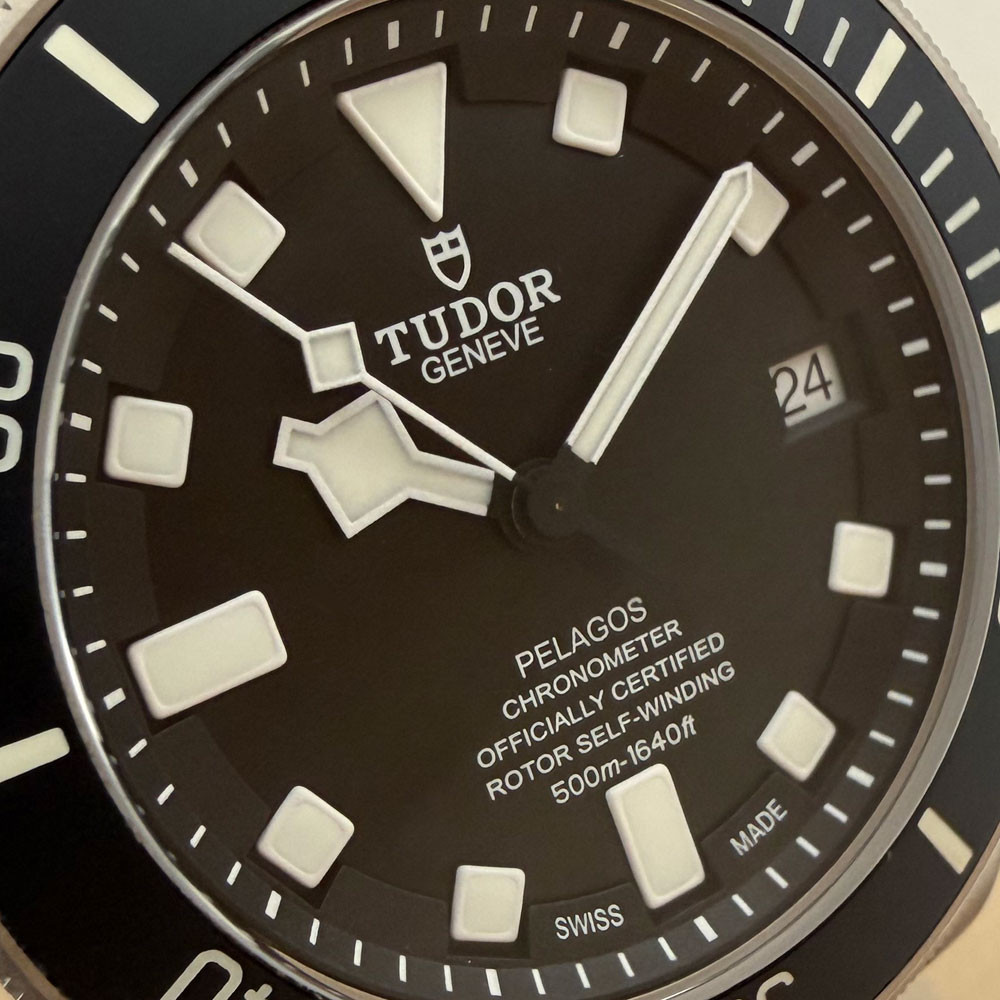 Tudor Pelagos 25600TN 6