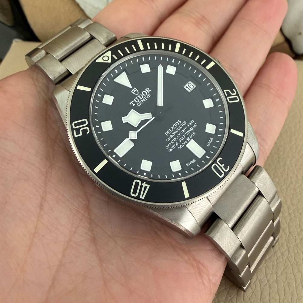 Tudor Pelagos 25600TN 10