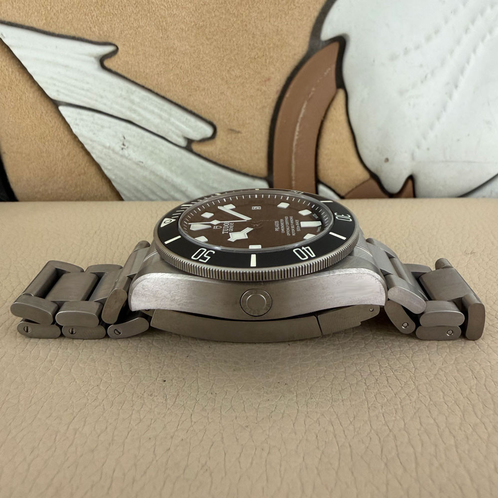 Tudor Pelagos 25600TN 12