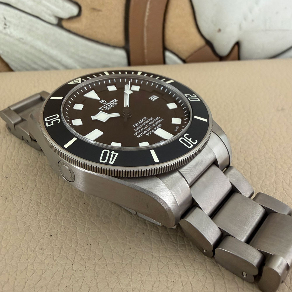 Tudor Pelagos 25600TN 13