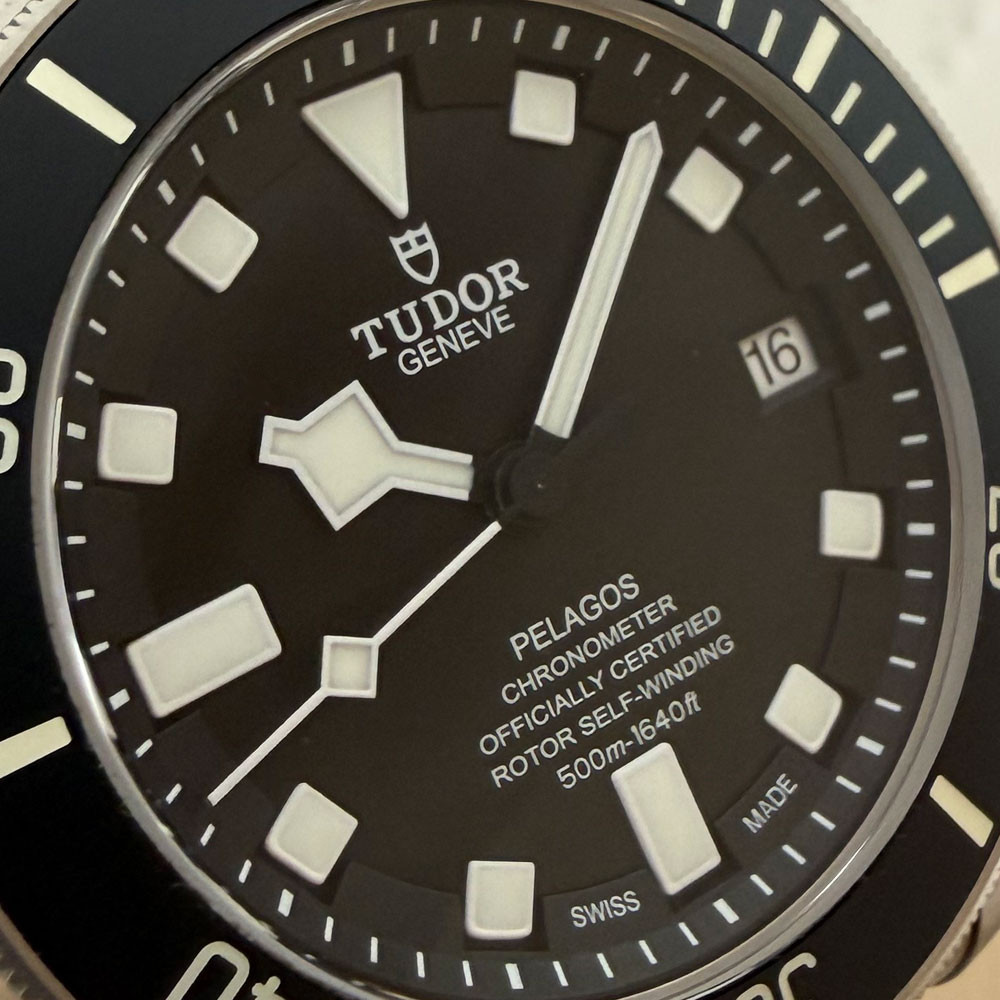 Tudor Pelagos 25600TN 6