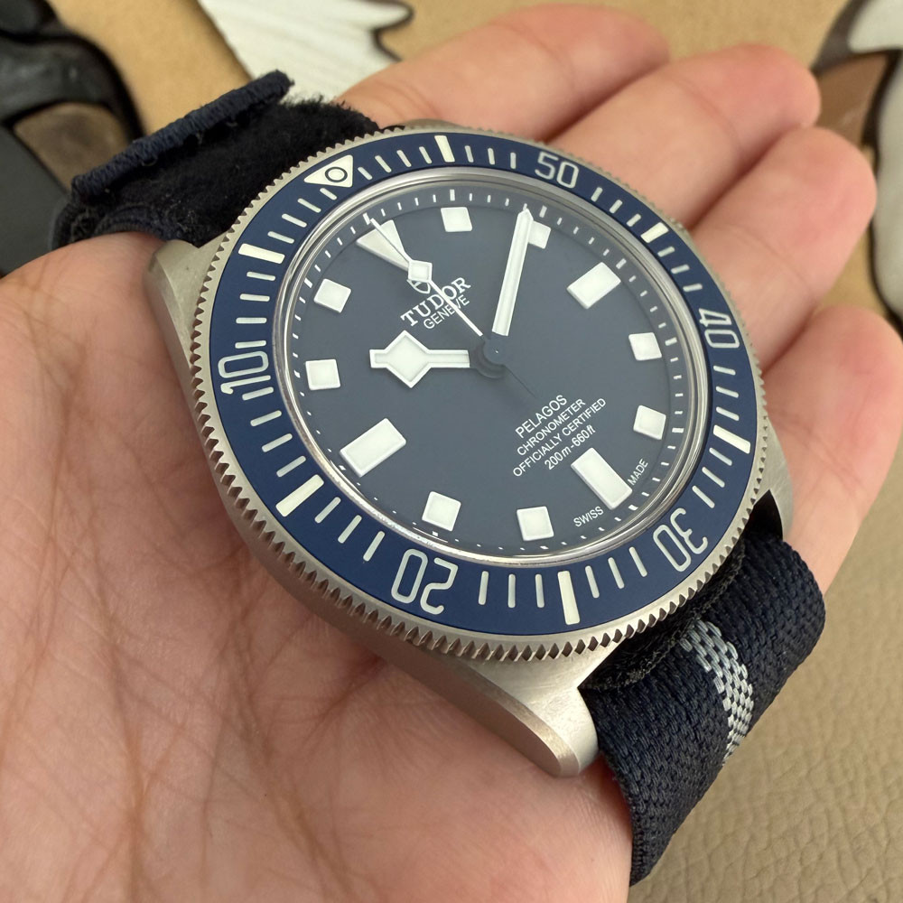 Tudor Pelagos FXD 22 25707B/22 10