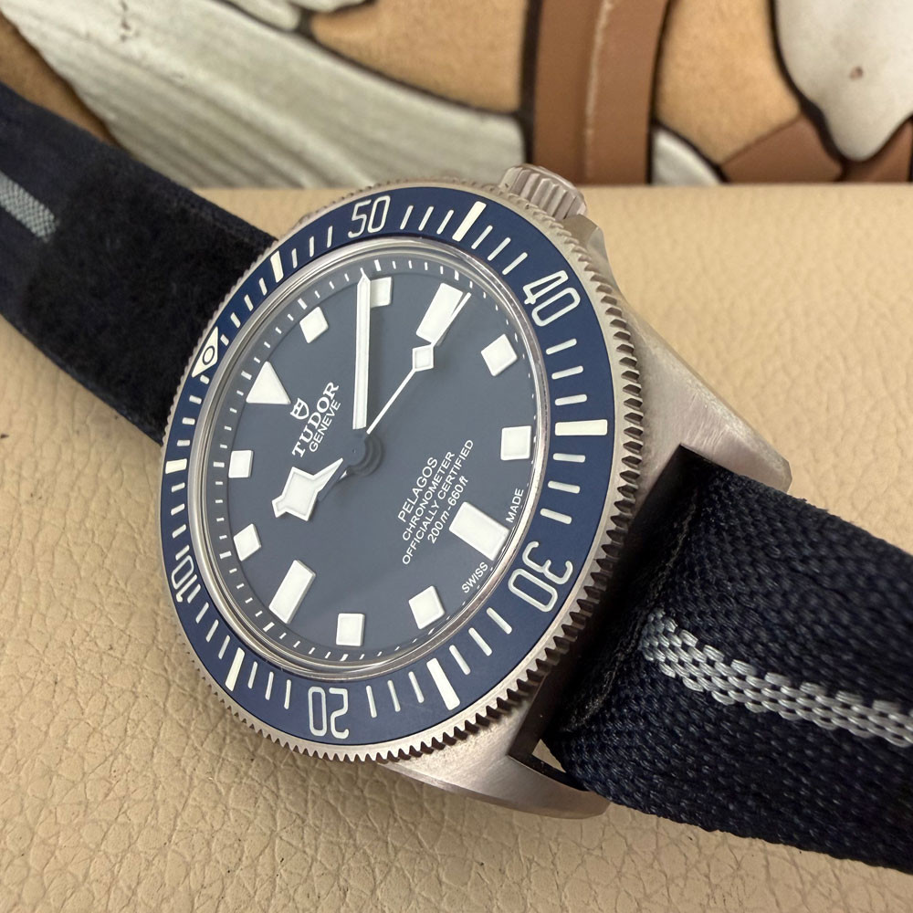 Tudor Pelagos FXD 22 25707B/22 13