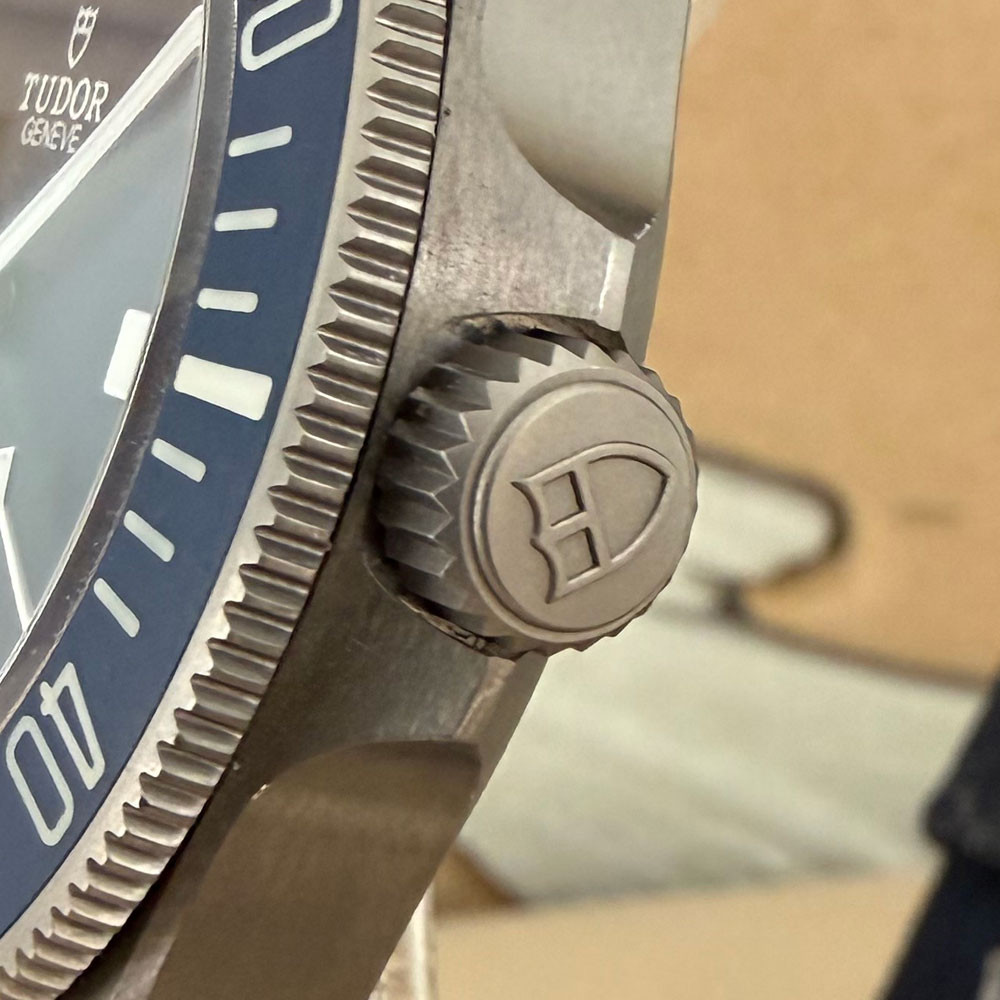 Tudor Pelagos FXD 22 25707B/22 4