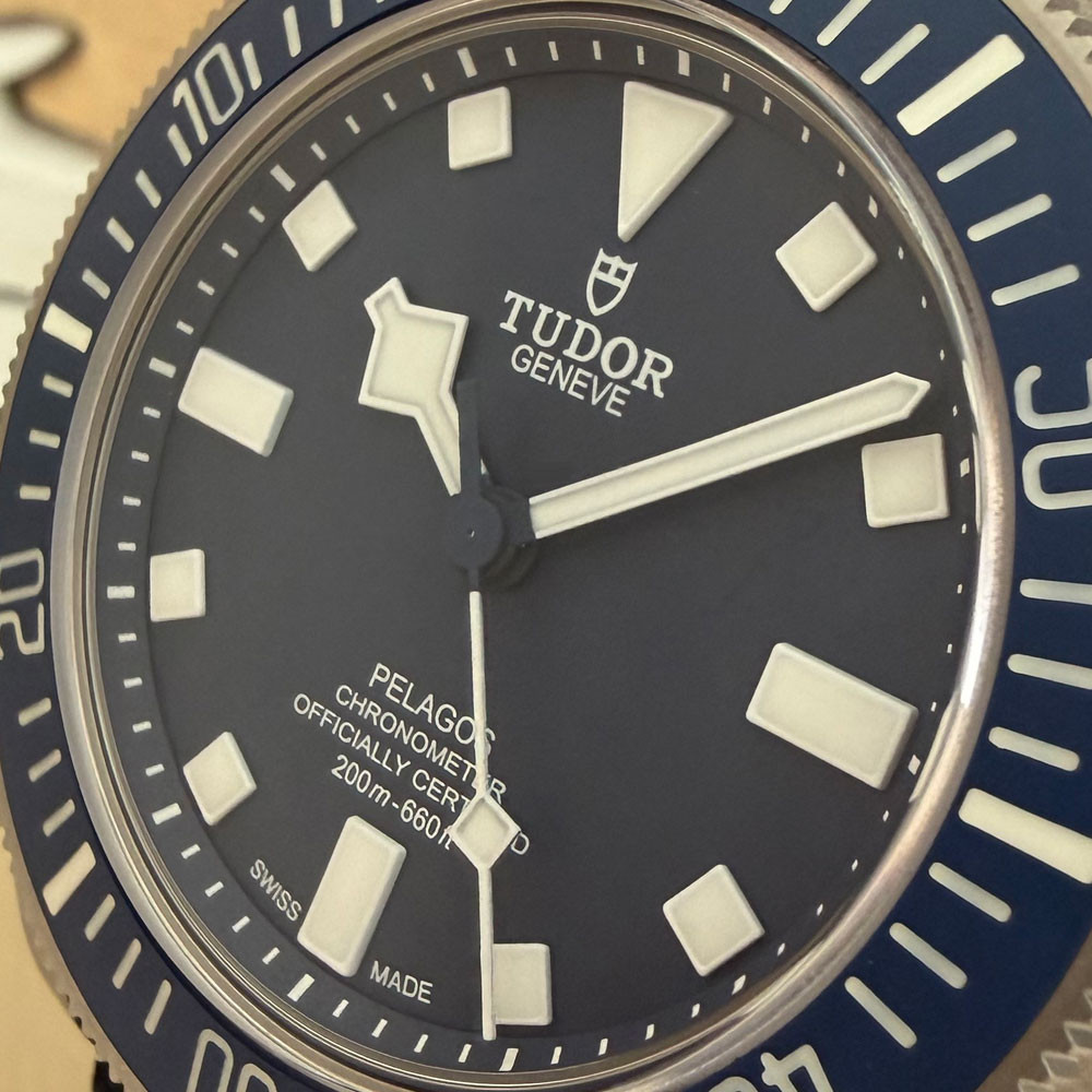 Tudor Pelagos FXD 22 25707B/22 5