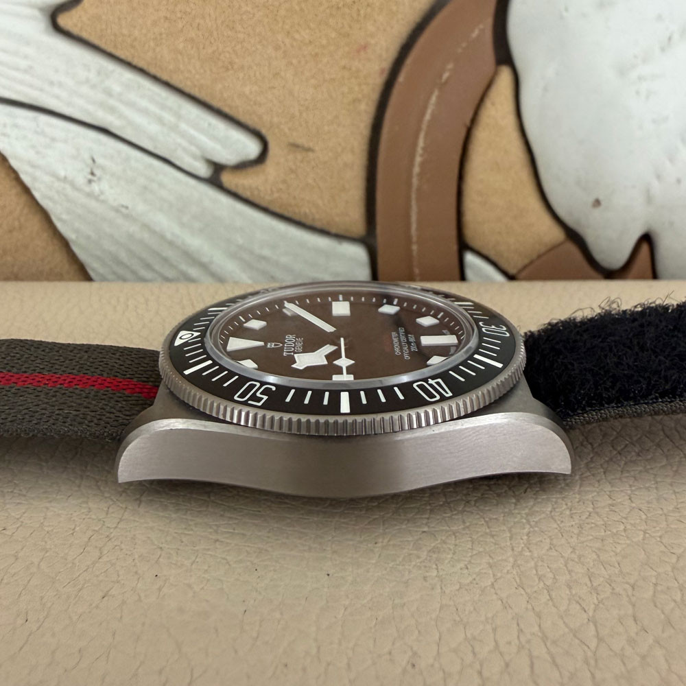 Tudor Pelagos FXD 25717N 12