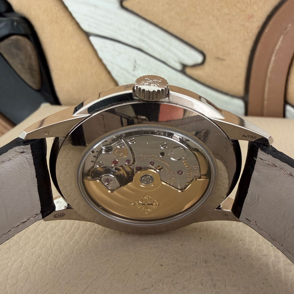 Patek Philippe Perpetual Calendar 5320G 001 9