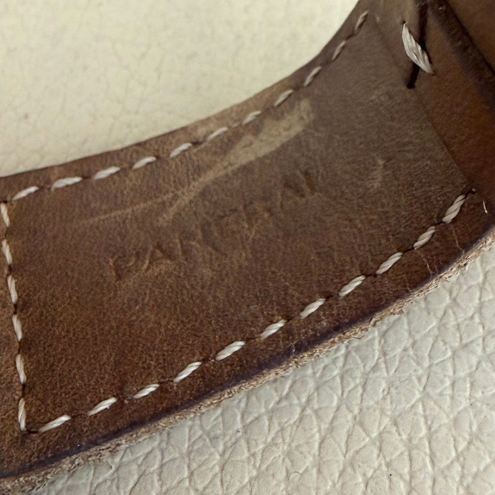 Panerai Radiomir Venti Paneristi 20th Anniversary Edition PAM02020 9