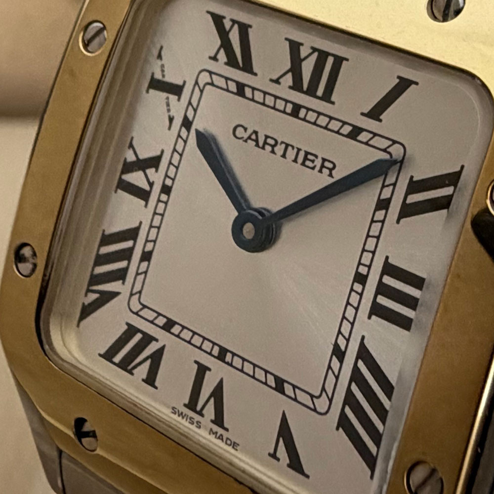 Cartier Santos Small W2SA0033 4626 5