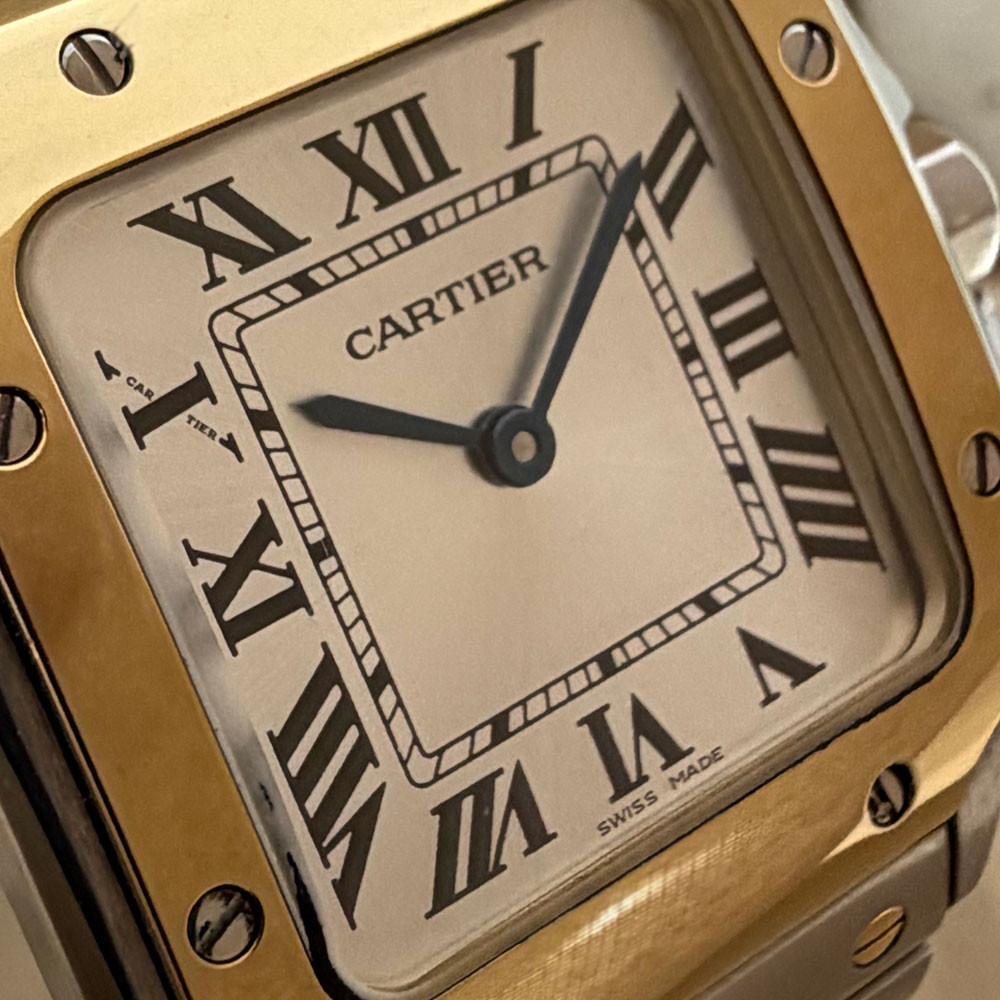 Cartier Santos Small W2SA0033 4626 6
