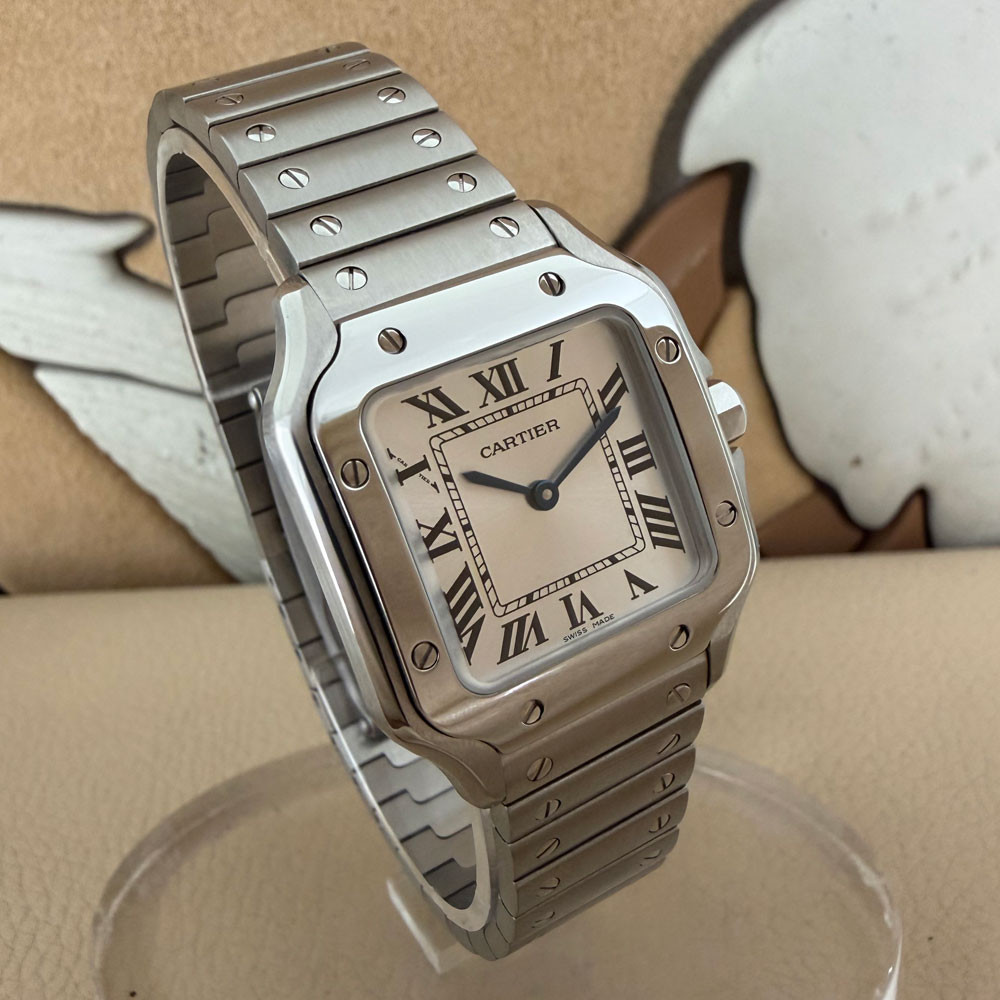 Cartier Santos Small WSSA0082 4626 3