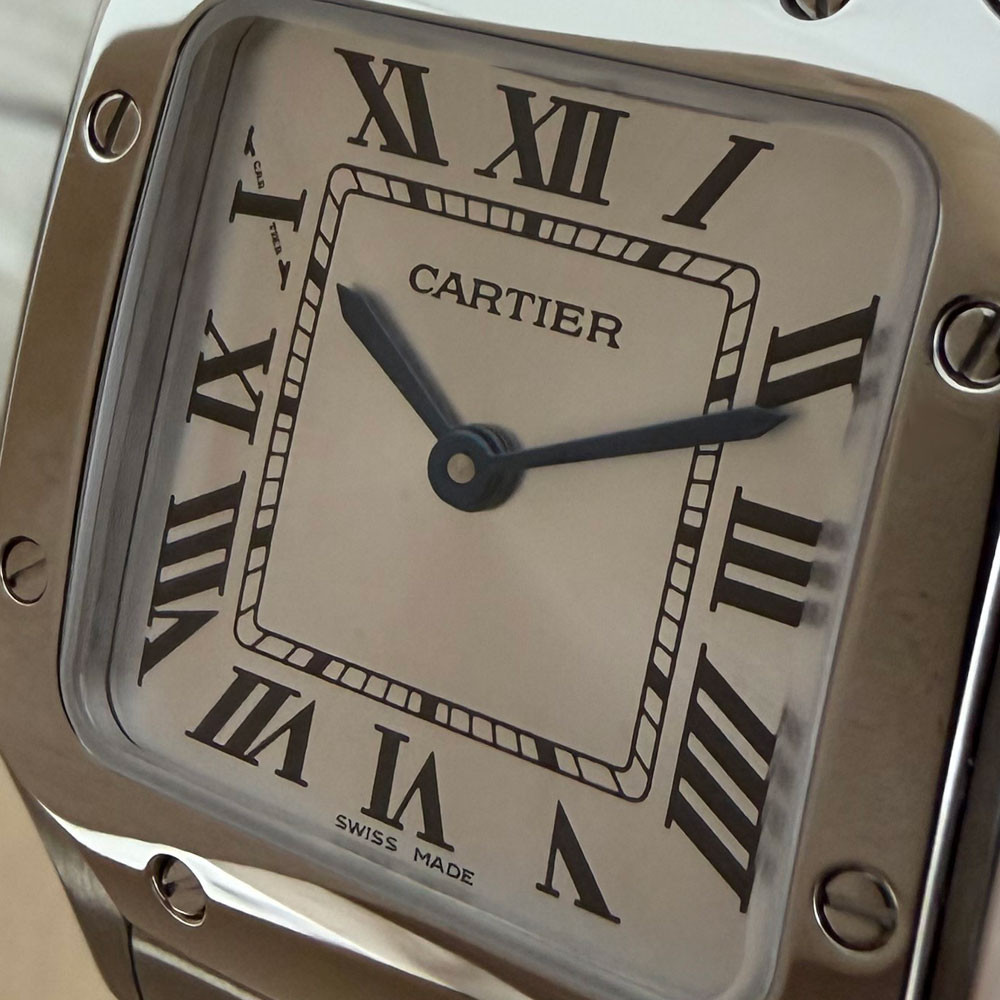 Cartier Santos Small WSSA0082 4626 5