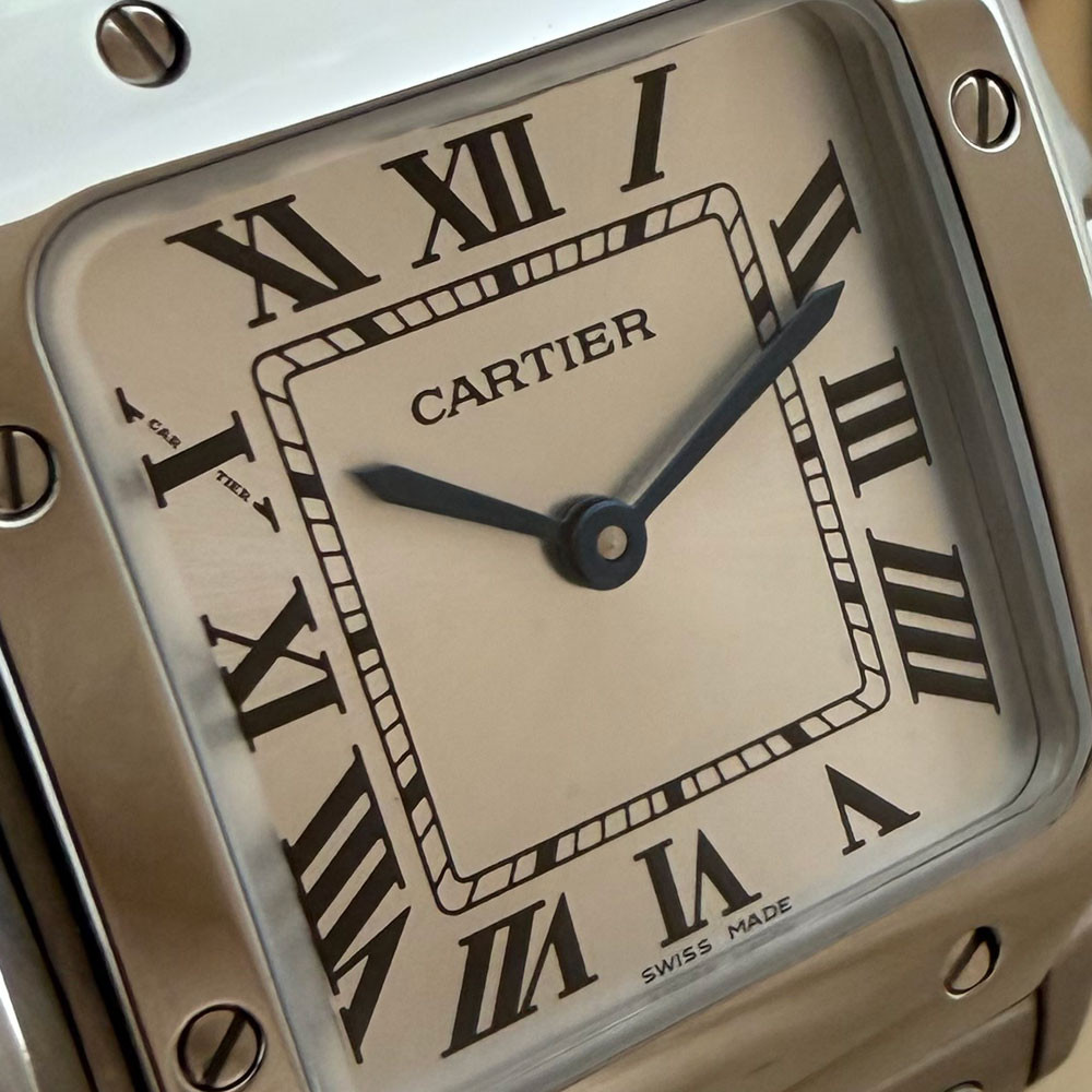 Cartier Santos Small WSSA0082 4626 6