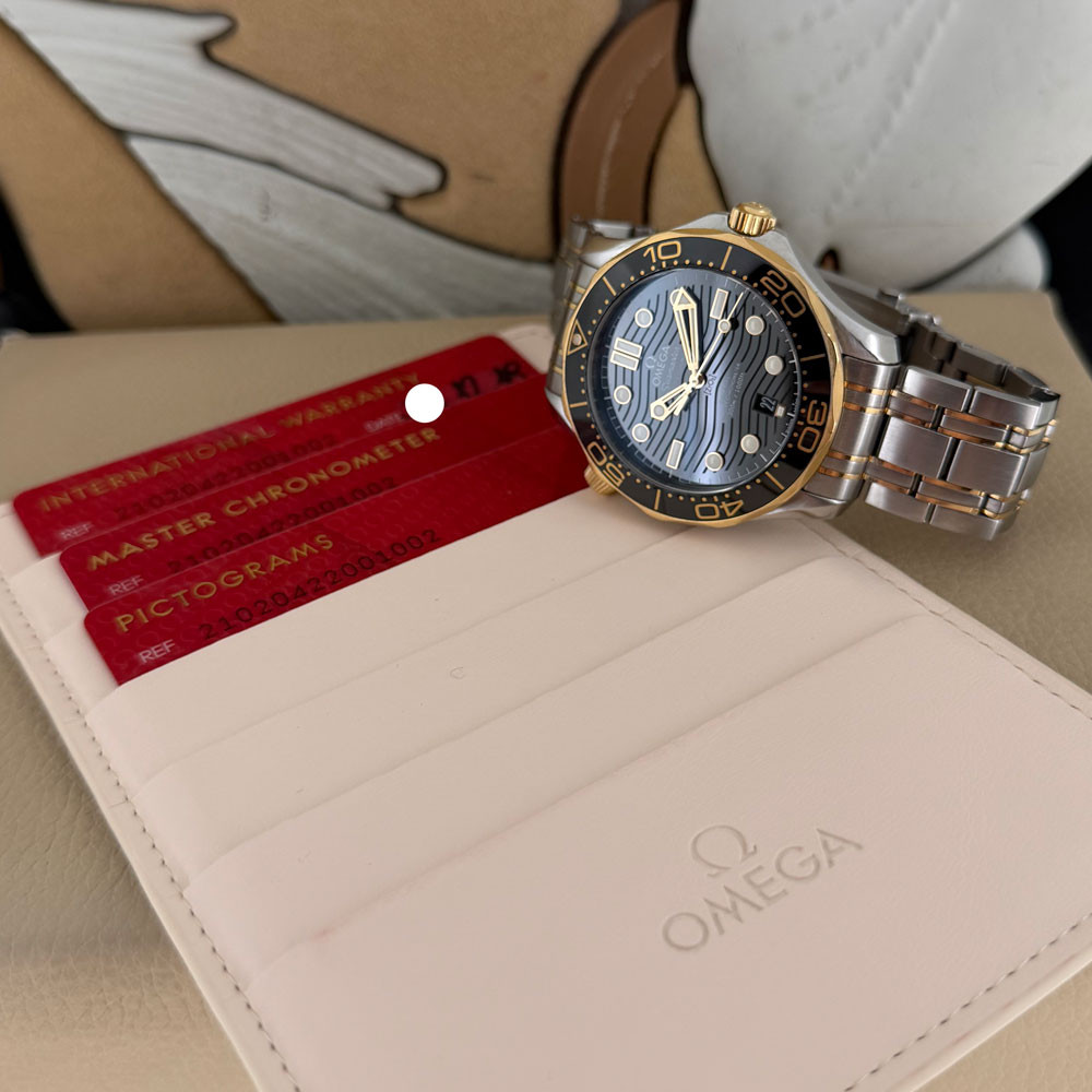 Omega Seamaster Diver 300 21020422001002 1