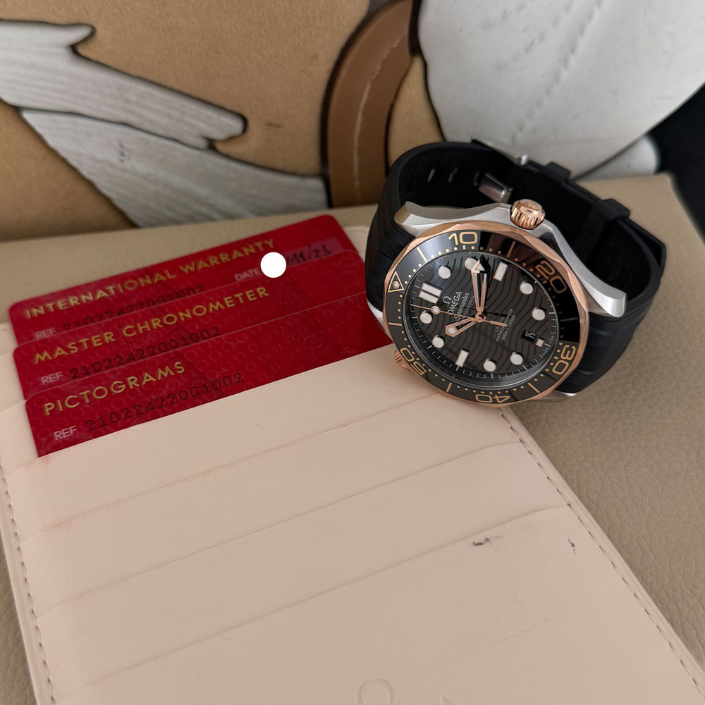 Omega Seamaster Diver 300 21022422001002 1