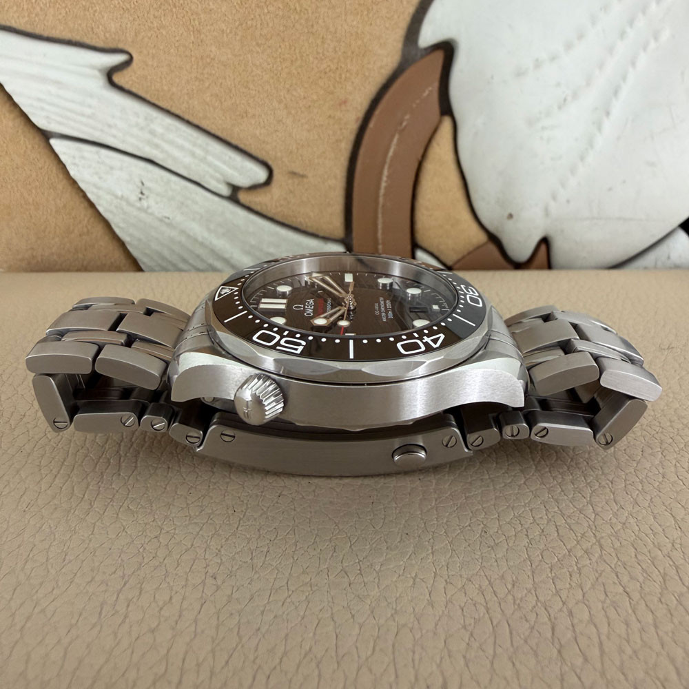 Omega Seamaster CoAxial 21030422001001 12