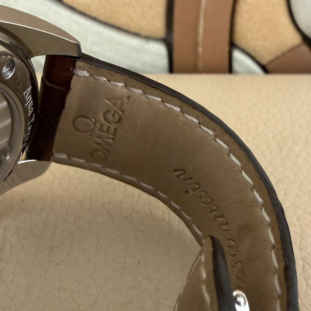 Omega Seamaster Aqua Terra Railmaster XXL 28065237 9