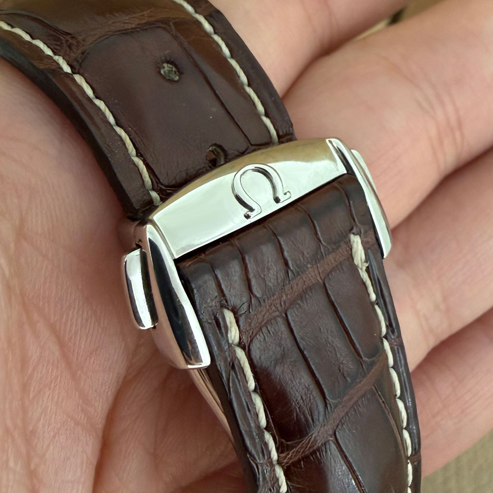 Omega Seamaster Aqua Terra Railmaster XXL 28065237 10