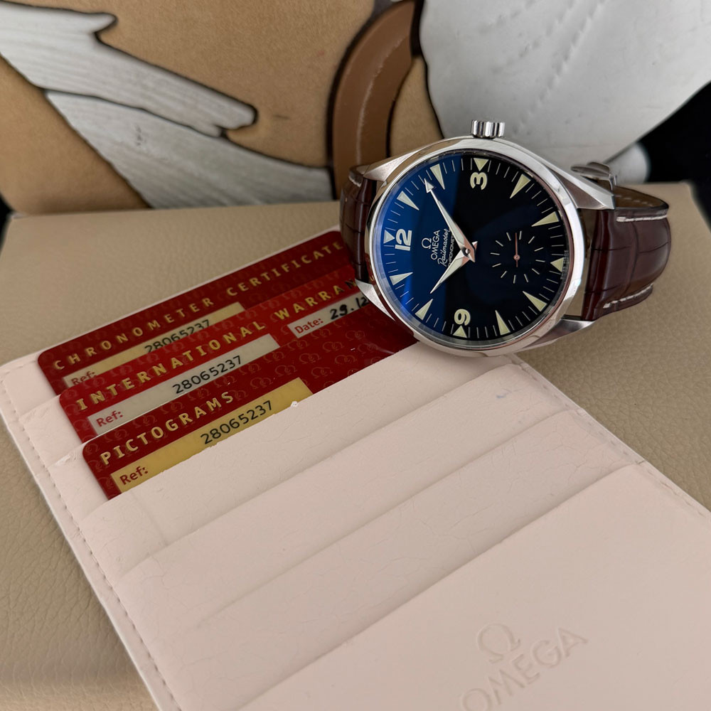 Omega Seamaster Aqua Terra Railmaster XXL 28065237 1