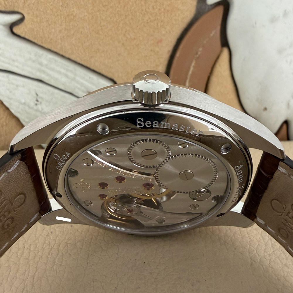 Omega Seamaster Aqua Terra Railmaster XXL 28065237 8