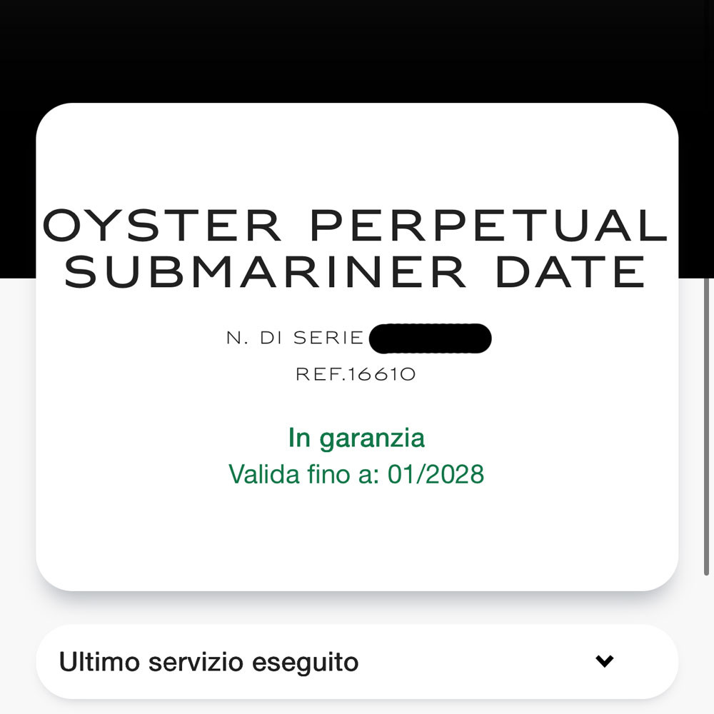 Rolex Submariner Service 2025 16610 1