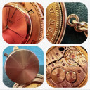 Piaget 20 Dollars Coin Watch 8