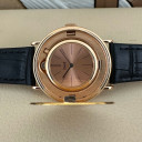 Piaget 20 Dollars Coin Watch 16