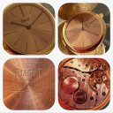 Piaget 20 Dollars Coin Watch 1
