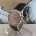 Patek Philippe Annual Calendar Salmon Dial 5035G-001 2