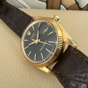 Rolex Date Tropical Gilt Serpico Y Laino 1503 14