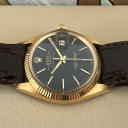 Rolex Date Tropical Gilt Serpico Y Laino 1503 15