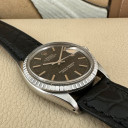 Rolex Datejust Black Gilt Dial 1603 11