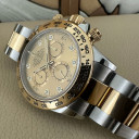 Rolex Daytona Champagne 8 Diamonds Dial 116503 14